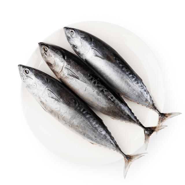 Frozen Tuna Wholesale Price With Good Quality Seafood Frozen Whole Round Bonito Tuna Fish Skipjack - Image 5