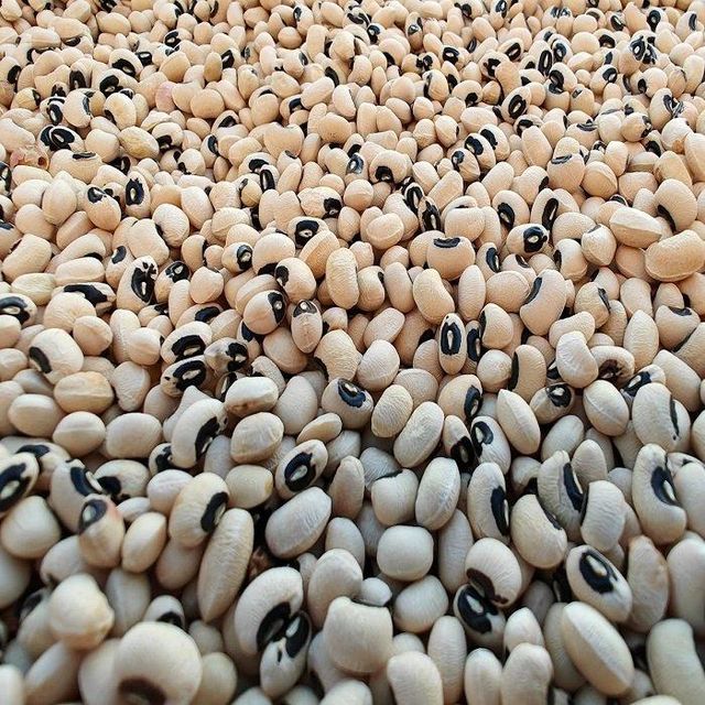 Wholesale Organic Dried FD Process Bulk Packaging White Black Eyed Beans Food Grade Ready to Use - Image 3