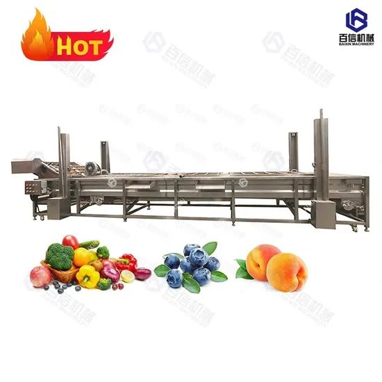Different Model Washing Machine Fruit Cleaning Line Bubble Washing Machine - Image 3
