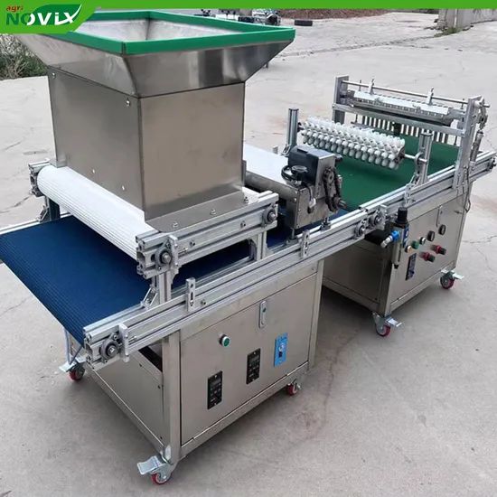 Intelligent Horticulture Seeding System with Full-Process Tray Handling Automation - Image 3