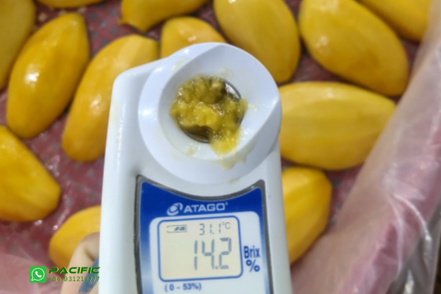 Frozen Mango - Image 8