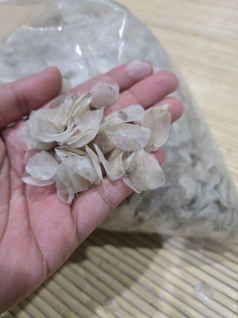 Tilapia Scales Processing Method Sun-dried Harvest Method Sustainable Freshwater Farms Intended Use Animal Feed, Organic Fertilizer, Cosmetics, Industrial - Image 1