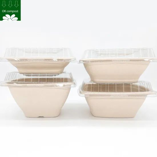 100 Biodegradable Square Rectangle Deep Bowl Salad Rectangular Bagasse Bowls - Image 1