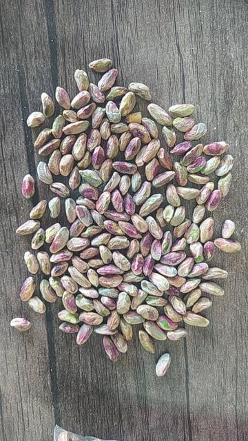 Pistachio in Shell and Kernel Product Type Nuts Flavor Mildly Sweet Processing Type Raw, Roasted, Kernel , In Shell Type Fandoghi, Kale Guchi, Badami, Akbari, Ahmed Aghaee - Image 5