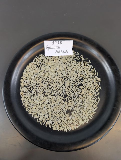 Basmati Rice & Non-Basmati Rice (Pesticide free available) Below price for - Pure 1718 Pesticide free (crop 2025) - Image 1
