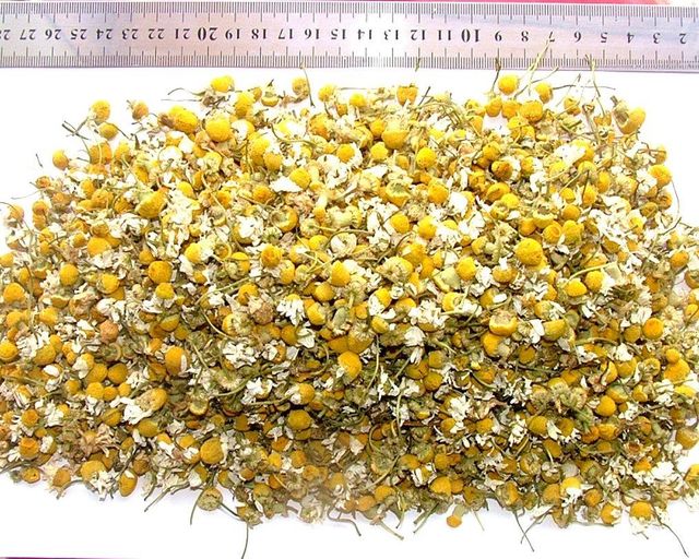 Premium Egyptian Dried Chamomile Flowers | Grade A - Natural Whole Blossoms | High Essential Oil Content | Global GAP Certified | Organic Export - Image 2