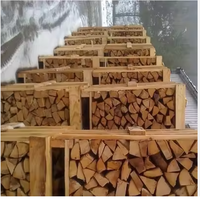 Timber Fuel Selection Featuring Oak Firewood Logs With Clean Burning Quality And Secure Container Packing - Image 5