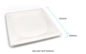 Eco-Friendly Disposable Kitchen Sets Plates Bagasse Square Plate Sugarcane Tableware Plates - Image 1