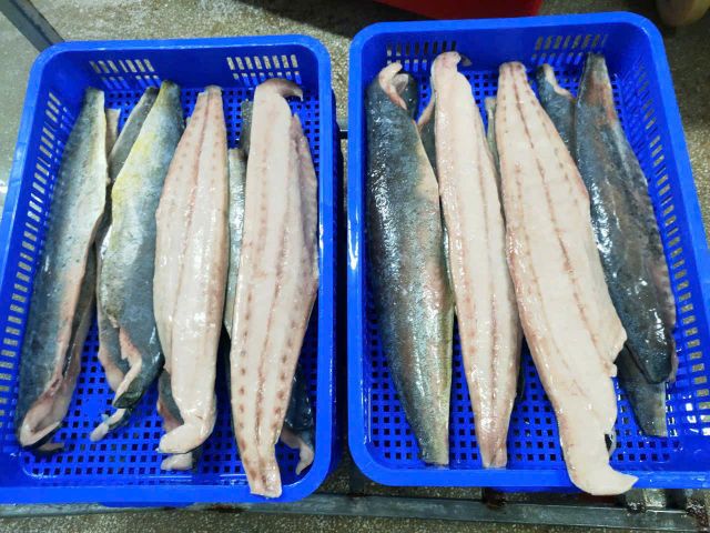 MAHI MAHI -FILLET and PORTION - Image 1