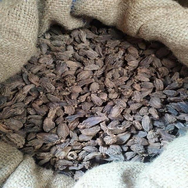 Black Cardamom Amomum Subulatum Elaichi Badi Raw FD Dried Vacuum Packed Spice Big Premium Black Cardamom For - Image 2