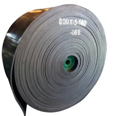 Fabric Reinforced Conveyor Belts - Image 1