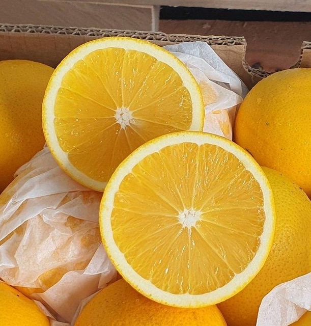 Fresh Navel Oranges available from South Africa - Image 3