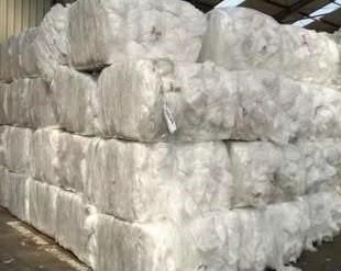 ldpe film - Image 3