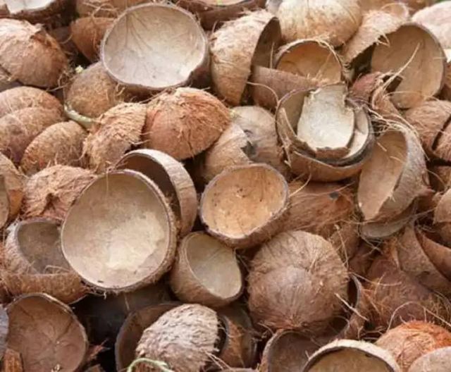 RAW ECO FRIENDLY NATURAL AFRICAN COCONUT SHELL - WHOLESALE VERY CHEAP PRICE WITH HIGH QUALITY- HALF-CUT COCONUT SHELL - Image 6