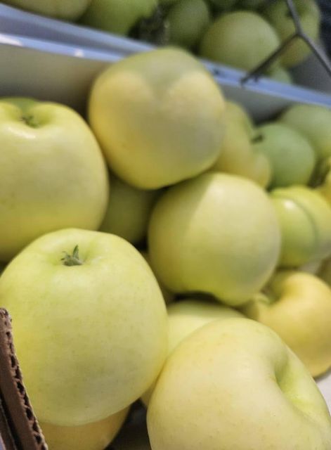 Quality Golden Delicious apples available - Image 2