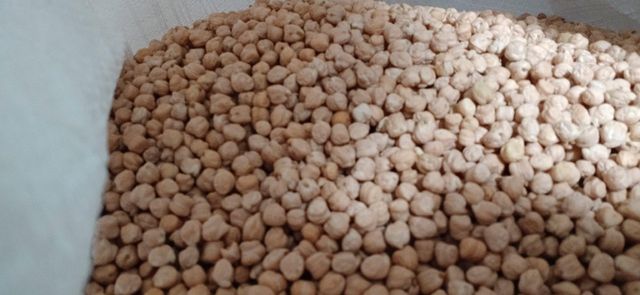Chickpeas - Image 1