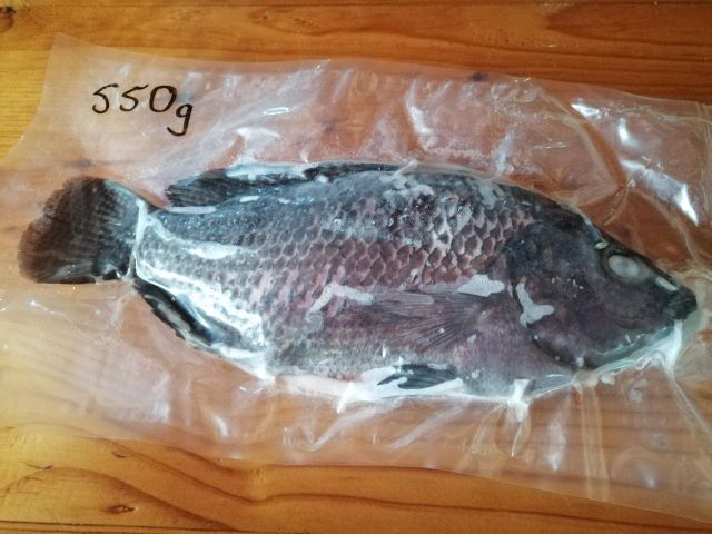 TOP Quality Frozen Tilapia Fresh Frozen Viscera Iqf Red Tilapia Rouge Frozen Ready for Sale - Image 5