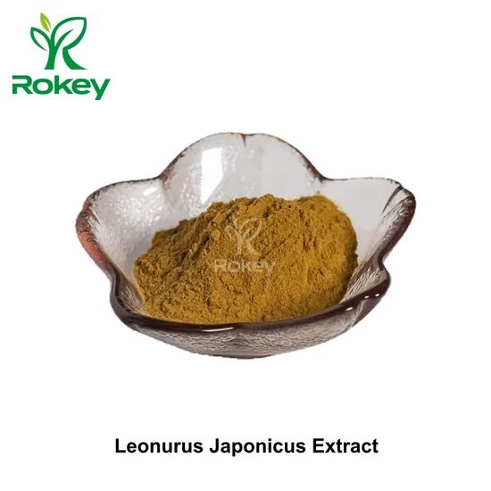 Premium Herbal Extract for Wellness Support Leonurus Japonicus Extract Powder - Image 1