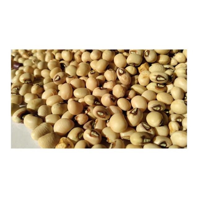 Premium Quality Wholesale Black Eyed Peas Beans for Sale – Cleaned, Nutritious, Export Grade Cowpeas for Bulk Supply, Food Processing, Retail Packaging, and Global Distribution with Competitive Prices, Reliable Delivery, and Custom Packaging Solutions - Image 2