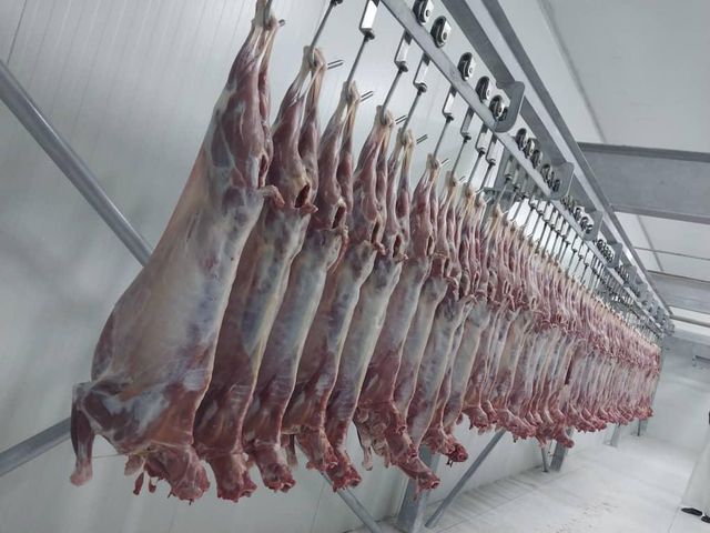 Frozen Lamb Meat – Whole Carcass (Bone-In) - Image 3