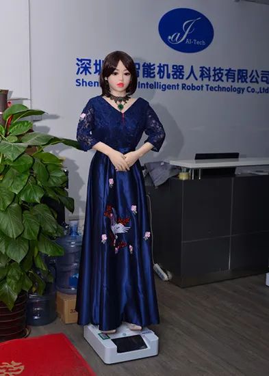 Humanoid Smart Robot Service Robot Welcome Greeting Robot for Reception - Image 1