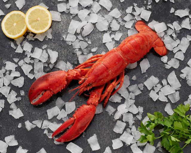 High Quality Pure Fresh/Frozen American Lobsters (Seafood) Whole Vacuum Pack 100-800g Sizes 4cm 24 Months Shelf Life Che - Image 4