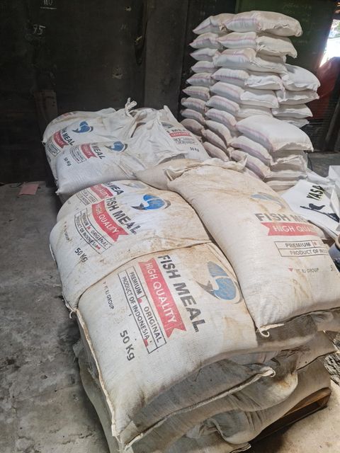 Fish Meal 60% Protein – Steam Dried, Low TVBN, Feed Grade, Bulk Supply Indonesia - Image 2