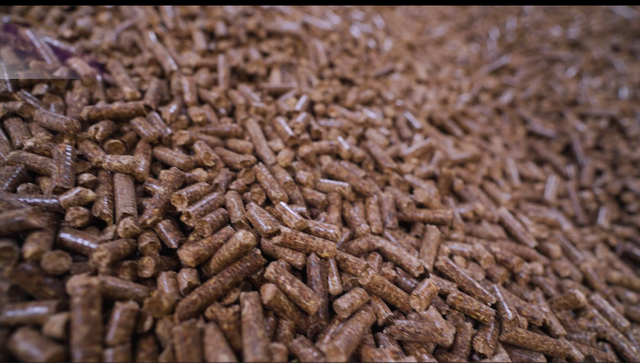 High-Quality Wood Pellets for Industrial & Residential Heating - Image 1