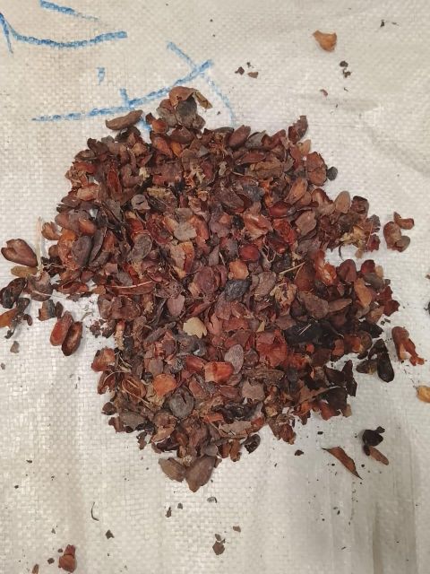 Cocoa Shells - Image 1