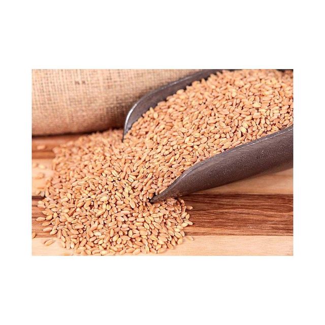Premium Milling Quality Hard Wheat Grains for Food Processing Bulk Supply Hard Wheat Grains - Image 3