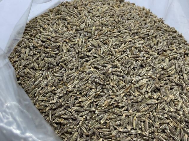 Cumin Seed - Image 4