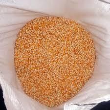 Yellow Maize / Corn Origin Pakistan Availability Year-round Features Gluten-Free, Organic Supply Capacity Bulk Quantities - Image 3
