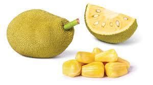 Fresh Jackfruit – Nutrient-Rich Tropical Fruit | Sweet & Versatile Superfood for wholesale and retail - Image 2