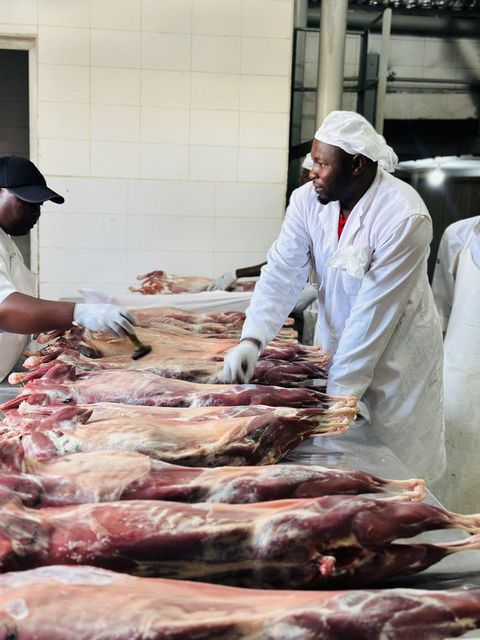 Whole chilled Mutton Grade No 1 Flavor Rich Appearance Whole Texture Succulent Origin Farm Fresh Organic Quality Good Export quality - Image 2
