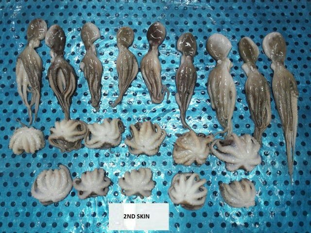 Frozen Baby Octopus Whole Cleaned (Iwadako) - Image 2