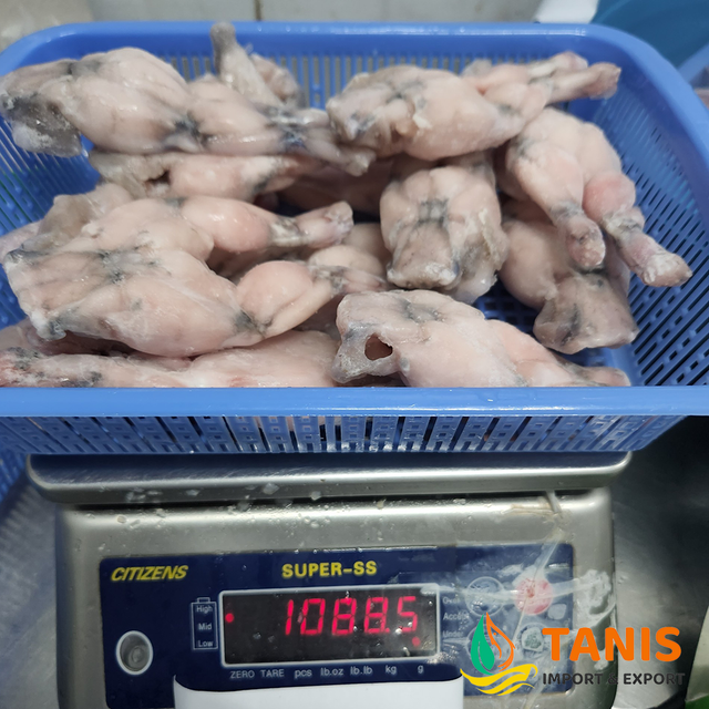 Frozen High Quality IQF Freeze Bull Frog Legs For Sale from Vietnam bulk packing / vacuum bag - Image 3