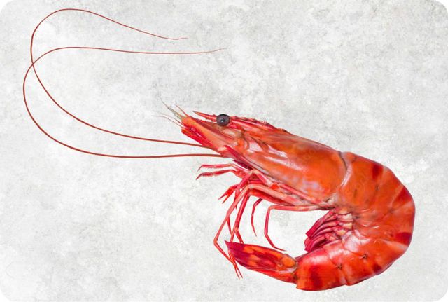 Frozen Black Tiger Shrimp Supplier From Vietnam - Image 3