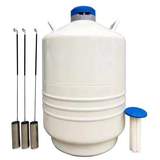 Large Caliber Liquid Nitrogen Container Laboratory Equipment Origin China Condition New Parts Gas Tank Model NO. YDS-10 Net Weight - Image 3