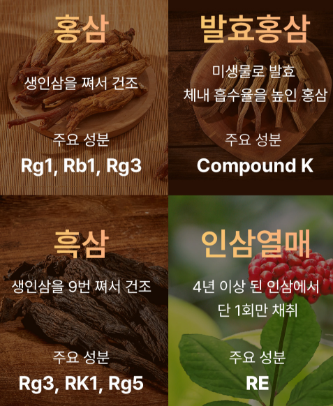 Korean Red Ginseng Premium - Image 4