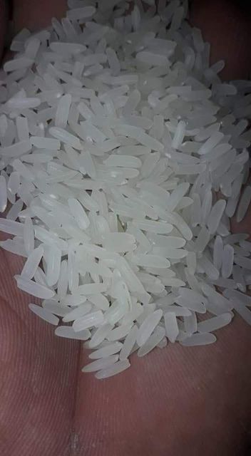 Premium Parboiled Rice Break Rate 5% Grain Type Long - Image 2