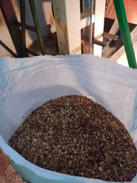 Broken Tamarind seed - Image 4
