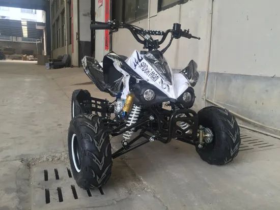 110cc Kids Quad ATV Bikes for Sale Origin China Brand Linhai Condition New Trademark EMTO Power 800-1000W Specification ce - Image 3