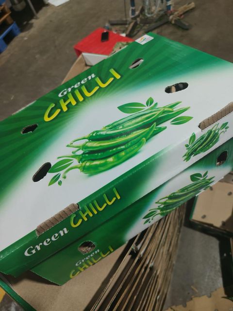 Fresh G4 Green Chilli - Premium Indian Export Quality (3.8kg Net Box) - Image 4