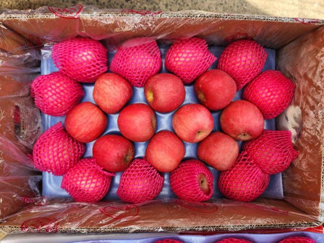 Fresh Fuji Apples For Sale Price - Image 4