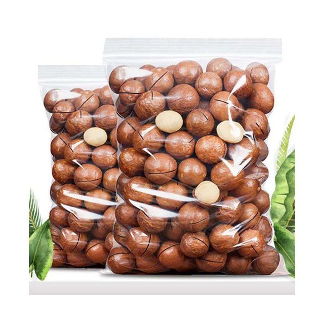 Fast delivery Macadamia nuts bulk supply wholesale premium fresh stock - Image 2