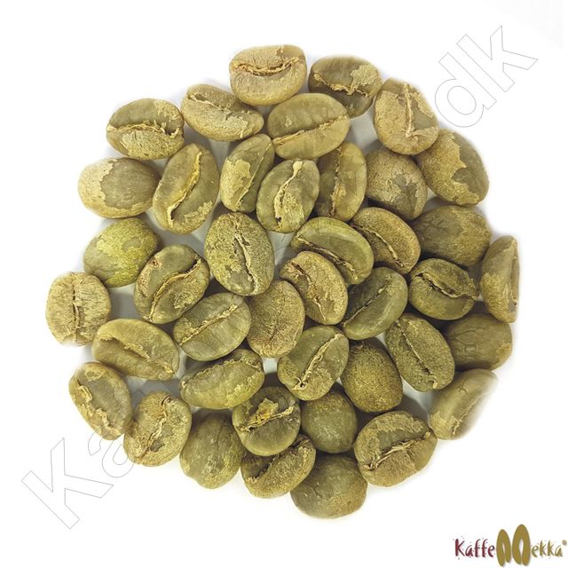 GREEN COFFEE BEANS - Image 1
