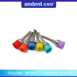 Colorful Dental Material Prophy Brush to Clean Teeth Sample Free Origin China Material Nylon Model NO. PB01 Materials - Image 4