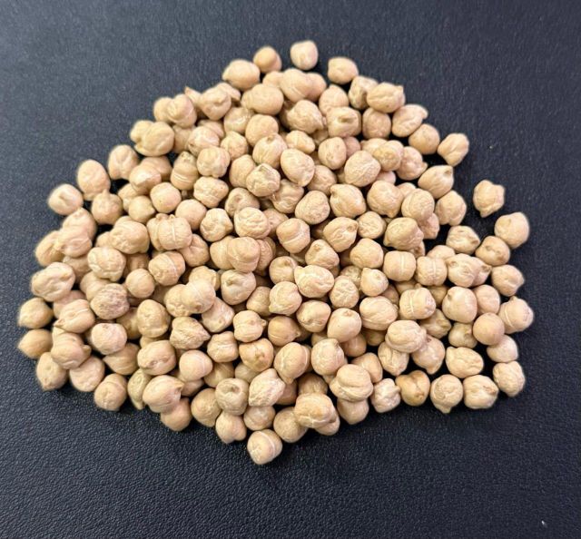 Premium Quality Kabuli Chickpeas / White Chickpeas – Whole, Polished & Natural – All Sizes & Counts – Indian Export for Global Buyers - Image 2