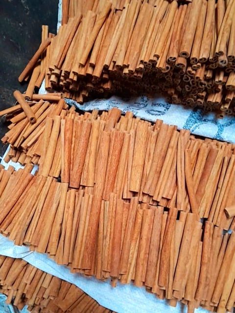 Cinnamon - Image 2