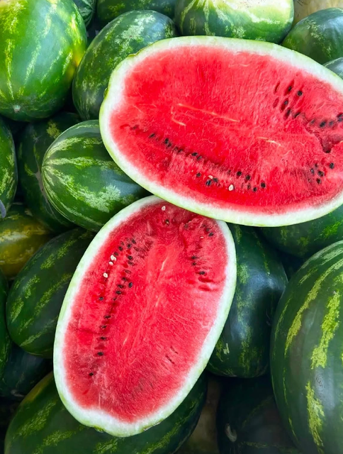 Best Brand Watermelons La Reina Fresh Large-Size Watermelon 6 Per Carton Selected for Premium Markets On Sale - Image 4